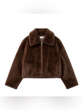 Steve Madden Chocolate Teddy Jacket